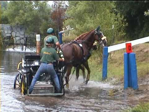 Rainer Frychel - Horse Driving